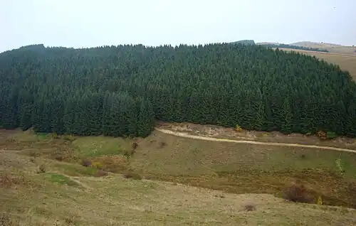 Zona Poiana Sibiului-Jina