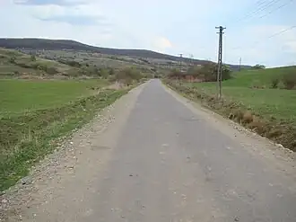 Drumul spre satul Mierța