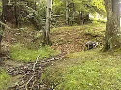 Fântâna Petri Floarii