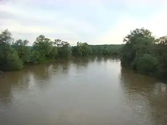 Râul Someș la Letca