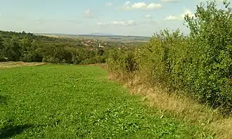 Satul văzut de la Băicănești