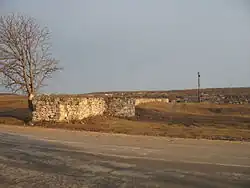 Ruinele palatului pârcalabului de Orhei