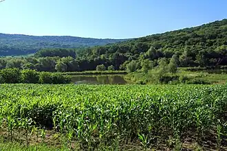 Peisaj natural în rezervație