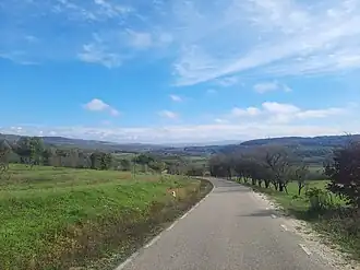 Drumul Purcăreț-Toplița