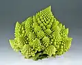Broccoli Romanesco evidenţiind structuri de fractal naturale foarte fine