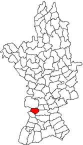 Amplasarea în cadrul județului