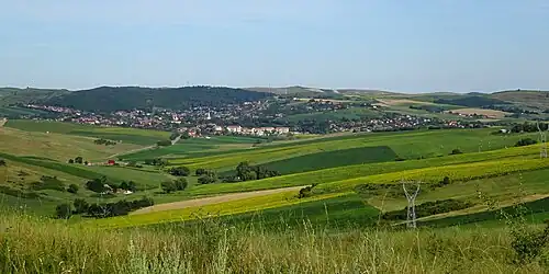 Panoramă dinspre Cămărașu (2024)