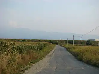 Drumul spre satul Săcădate