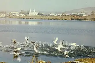 Vederea a satului, anii '70.