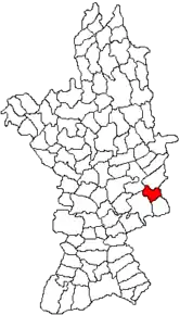 Amplasarea în cadrul județului