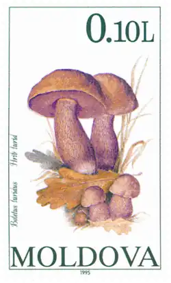 B. luridus, R. Moldova 1990