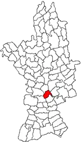 Amplasarea în cadrul județului