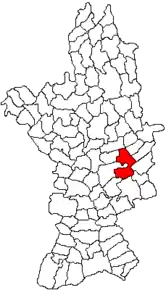 Amplasarea în cadrul județului