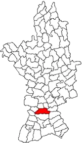 Amplasarea în cadrul județului