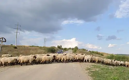 Drumul spre Tătârlaua