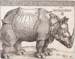 Rinpcerul; de Albrecht Dürer; 1515; xilogravură; 23,5&nbsp;cm × 29,8&nbsp;cm; National Gallery of Art (Washington, D.C.)