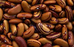 'Ochi de Tigru', varietate de fasole pitică din Chile sau Argentina