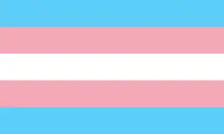 Modelul Monicăi Helms (1999)