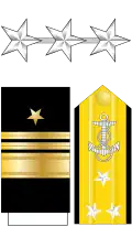 Vice Admiral, Viceamiral