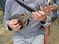 Ukelele electroacustice