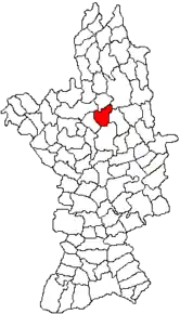 Amplasarea în cadrul județului