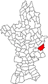 Amplasarea în cadrul județului