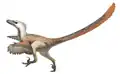 Un Velociraptor lung până la 2 m a cutreierat Cretacicul târziu.