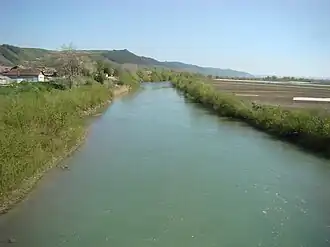 Râul Arieș la Viișoara