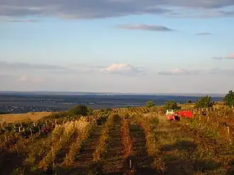 Podgorii în preajma satului.