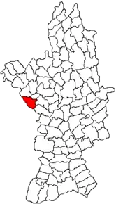 Amplasarea în cadrul județului