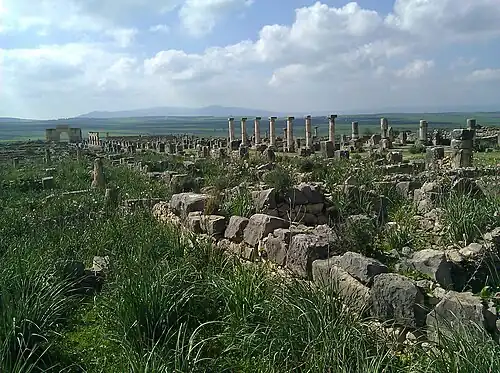 Situl arheologic Volubilis