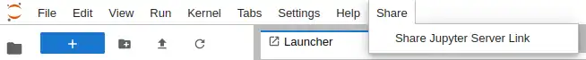 Share - Share Jupyter Server Link