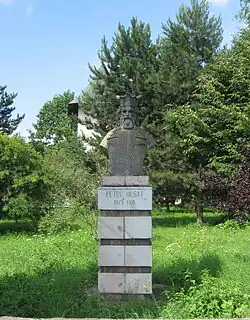 Bustul lui Petru Muşat din Rădăuţi