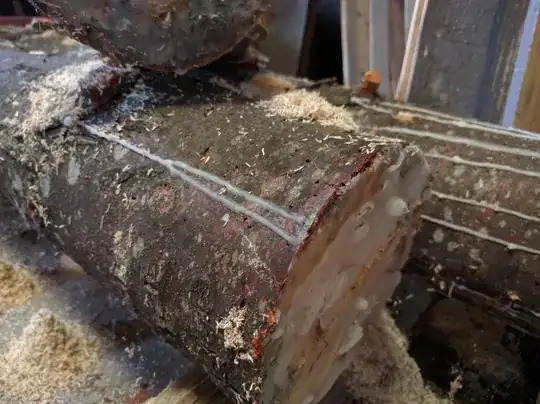 tiny holes and sawdust pile