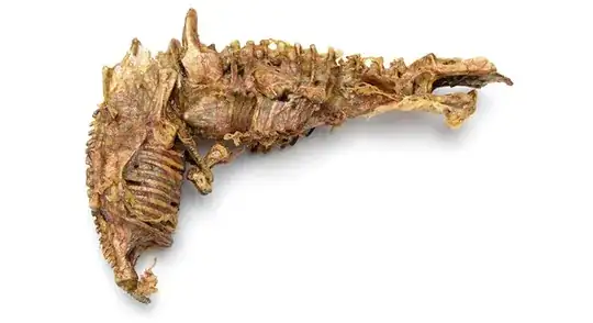 Waiter! I found this in my soup!