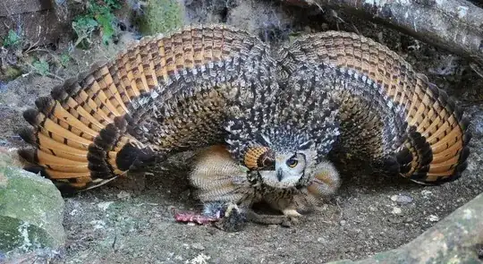 Owl with wings spread out