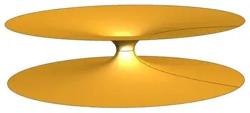 Cross section of an Ellis wormhole, taken from en.wikipedia.org/wiki/Ellis_wormhole