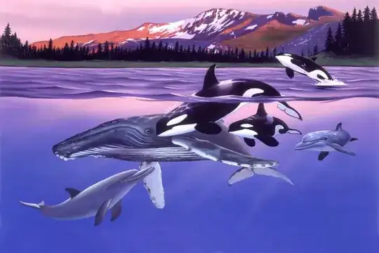 whales and dolphins