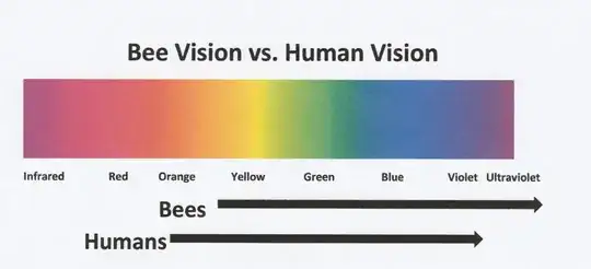 bee vision spectrum