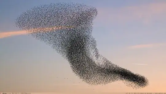murmuration of starlings