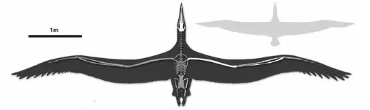 Pelagornis sandersi