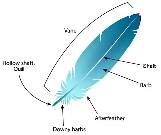 A diagram of the anatomy of a feather, identifying the shaft, barb, afterfeather, downy barbs, quill, and vane
