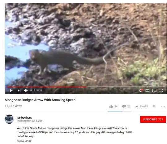 mongoose dodges arrow