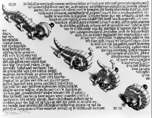 Pedalternorotandomovens centroculatus articulosus