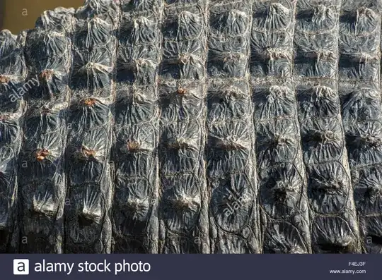 crocodile skin