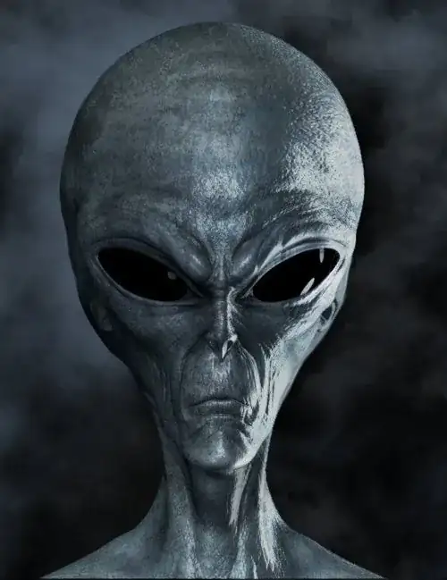 Grey Alien