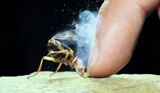 Bombardier beetle in action