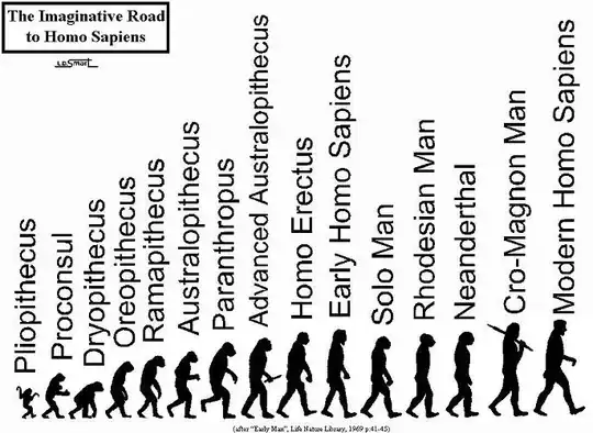 Hominid heights