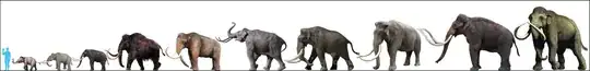 elephant family comparisons