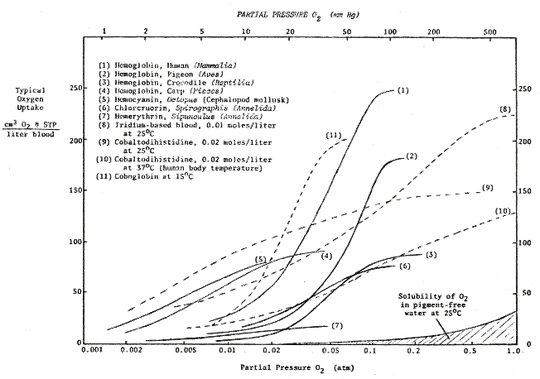 Oxygen Transport Molecule Oxygen Uptake Comparision